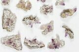 Lot: Veracruz Amethyst Clusters - Pieces #80634-1